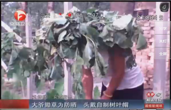農(nóng)民防曬有絕招，就地取材，頭戴樹(shù)葉自制帽子